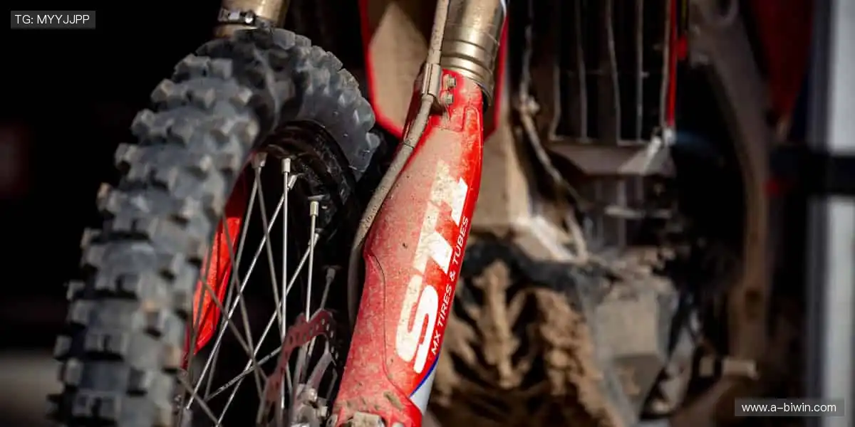 🎮 虚拟看台，弹幕狂欢，